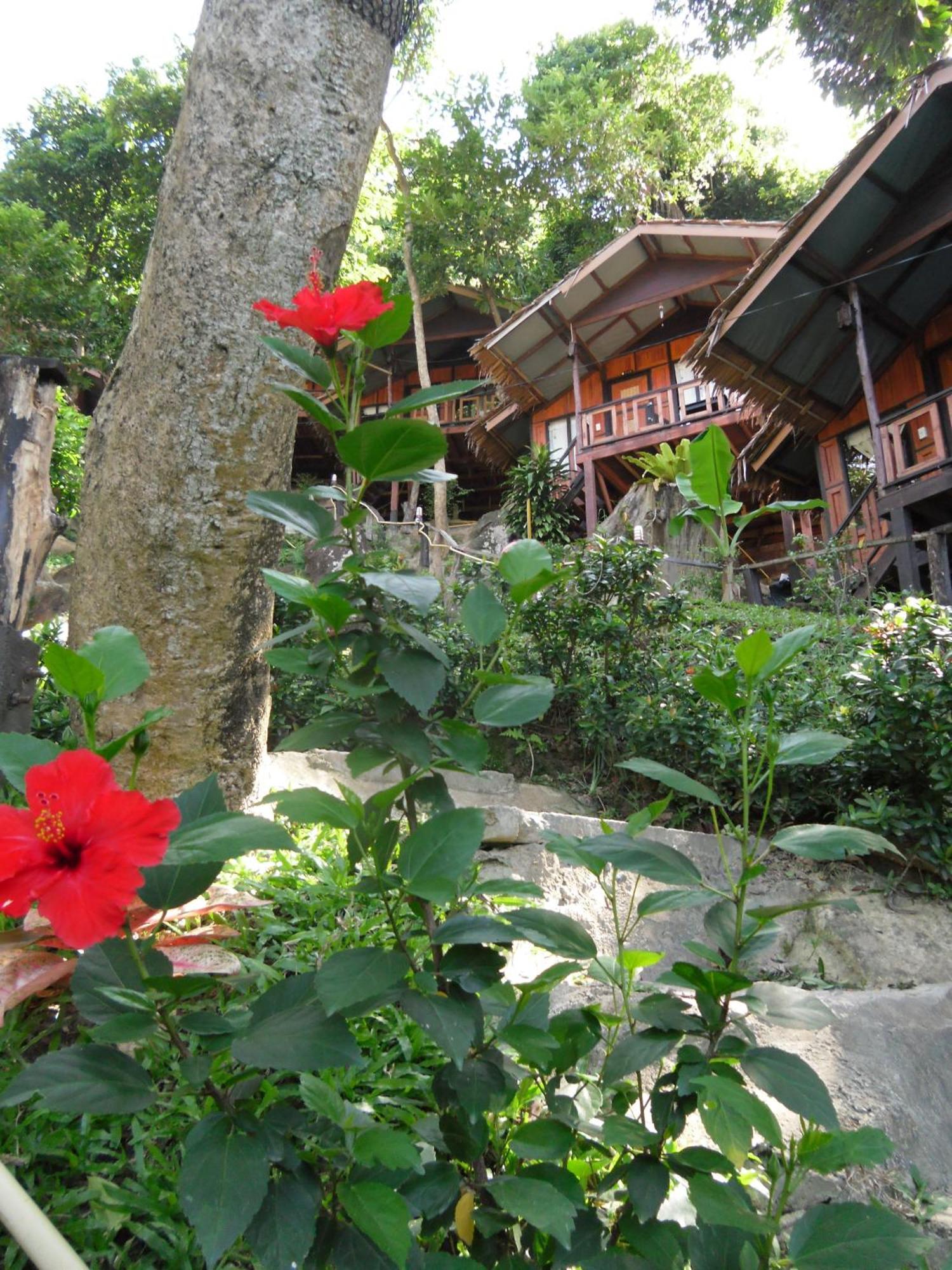 Phi Phi Green Hill Resort Екстер'єр фото